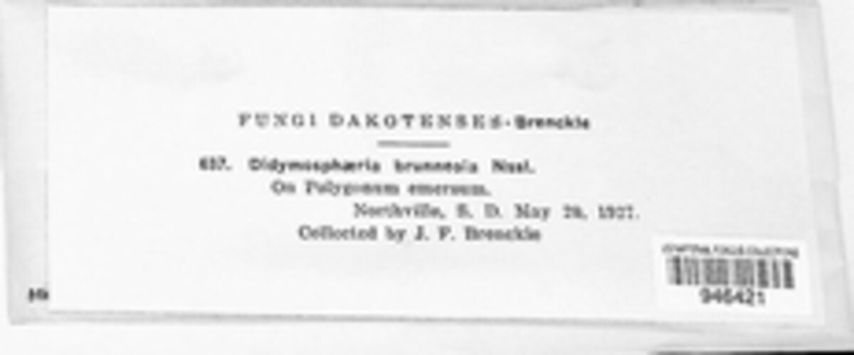 Didymosphaeria image